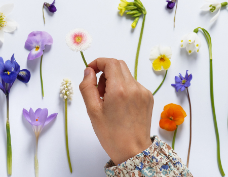 Flower Pressing: How to Embrace Natures Gifts