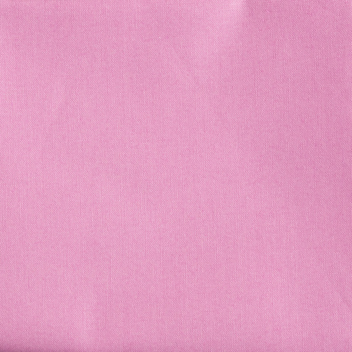 Tula Pink Solid 0.5m Fabric Length - Pick N Mix - Choose Any 4 - Sweet Pea