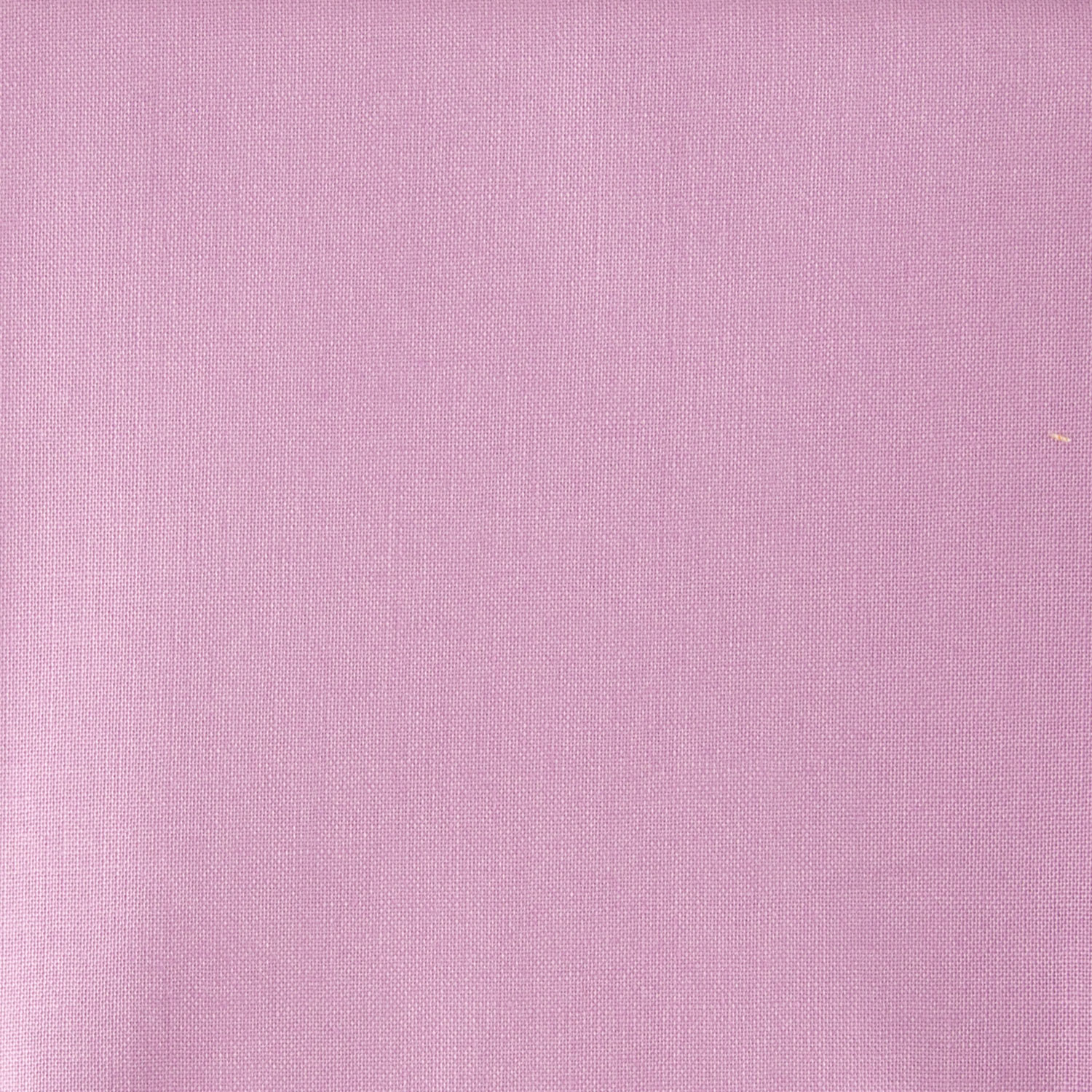 Tula Pink Solid 0.5m Fabric Length - Pick N Mix - Choose Any 4 - Freesia