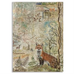 Stamperia Forest A4 Rice Paper - Fox  - 310191