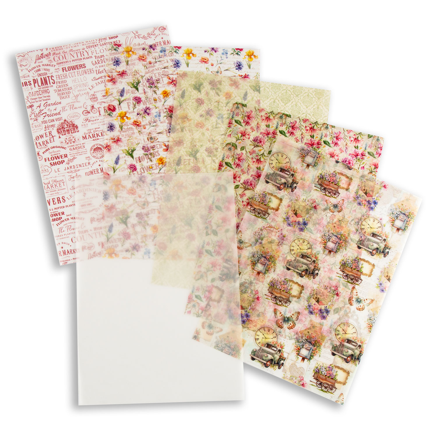 Ciao Bella A4 Vellum Papers Pick-n-Mix - Choose 2 - Flower Shop