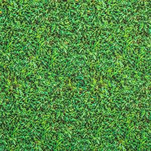 Fabric Freedom Grass PRINTGITAL Elements Quilting Cotton 1m x 150cm Fabric Length - 536486