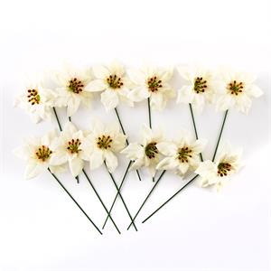 Dawn Bibby Ivory Velvet Poinsettia Pick - Set of 12 - 547531